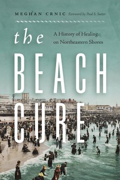 Cover The Beach Cure (eBook, ePUB)
