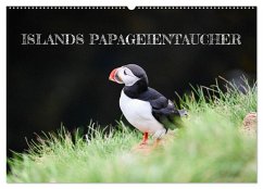 Cover Islands Papageientaucher (Wandkalender 2026 DIN A2 quer), CALVENDO Monatskalender