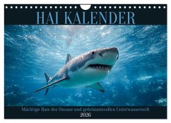 Cover Hai Kalender - Mächtige Haie der Ozeane und geheimnisvollen Unterwasserwelt (Wandkalender 2026 DIN A4 quer), CALVENDO Monatskalender