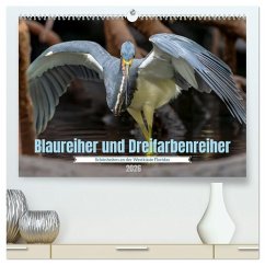 Cover Blaureiher und Dreifarbenreiher (hochwertiger Premium Wandkalender 2026 DIN A2 quer), Kunstdruck in Hochglanz