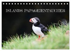 Cover Islands Papageientaucher (Tischkalender 2026 DIN A5 quer), CALVENDO Monatskalender