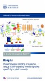 Phosphorylation profiling of systemin versus MAMP signaling reveals signaling specificity in plant immunity