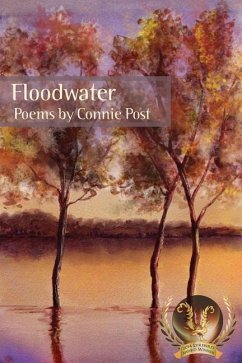 Cover Floodwater