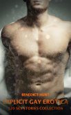 Explicit Gay Erotica (eBook, ePUB)