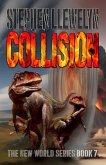 COLLISION (eBook, ePUB)