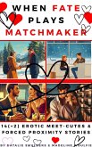 When Fate Plays Matchmaker : 14+2 Erotic Meet-Cutes & Forced Proximity Stories (eBook, ePUB)