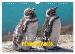 Cover Patagonia, Peninsula Valdés - Marine Nature Reserve (Wall Calendar 2026 DIN A4 landscape), CALVENDO 12 Month Wall Calendar