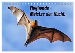 Flughunde - Meister der Nacht (Tischkalender 2026 DIN A5 quer), CALVENDO Monatskalender Cover Flughunde - Meister der Nacht (Tischkalender 2026 DIN A5 quer), CALVENDO Monatskalender