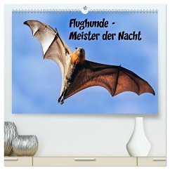 Flughunde - Meister der Nacht (hochwertiger Premium Wandkalender 2026 DIN A2 quer), Kunstdruck in Hochglanz Cover Flughunde - Meister der Nacht (hochwertiger Premium Wandkalender 2026 DIN A2 quer), Kunstdruck in Hochglanz