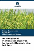 Phänotypische Merkmalsanalyse von fortgeschrittenen Linien bei Reis