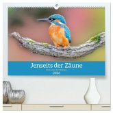 Jenseits der Zäune (hochwertiger Premium Wandkalender 2026 DIN A2 quer), Kunstdruck in Hochglanz Jenseits der Zäune (hochwertiger Premium Wandkalender 2026 DIN A2 quer), Kunstdruck in Hochglanz