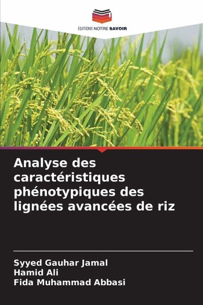 Analyse des caractéristiques phénotypiques des lignées avancées de riz Analyse des caractéristiques phénotypiques des lignées avancées de riz