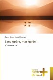 Sans repère, mais guidé Sans repère, mais guidé