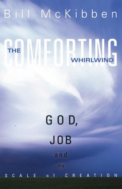 The Comforting Whirlwind (eBook, PDF) - McKibben, Bill