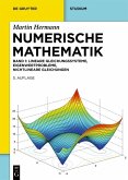 Numerische Mathematik (eBook, ePUB)