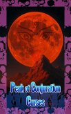 Peak of Conjuration Curses (eBook, ePUB) Peak of Conjuration Curses (eBook, ePUB)