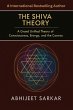 The Shiva Theory: A Grand Unified... - Bild 1