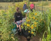 Mindful Gardening with Children (eBook, ePUB)