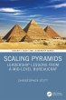 Scaling Pyramids (eBook, PDF) - Bild 1