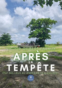 Après la tempête - Victor Gilbert Faraux Après la tempête - Victor Gilbert Faraux