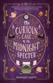 The Curious Case of the Midnight Specter The Curious Case of the Midnight Specter