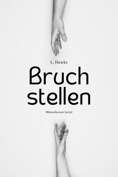 Cover Bruchstellen (eBook, ePUB)