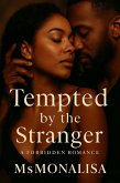 Tempted by the Stranger (eBook, ePUB)