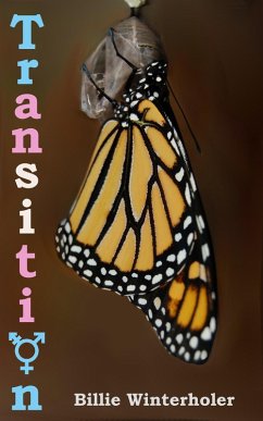 Cover Transition (eBook, ePUB)