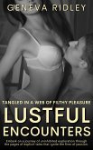 Lustful Encounters (eBook, ePUB) Lustful Encounters (eBook, ePUB)