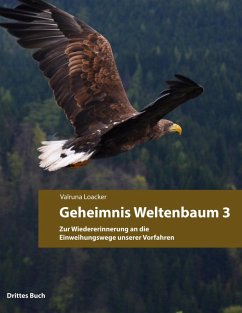 Cover Geheimnis Weltenbaum