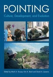 Cover Pointing