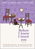 Before I Knew I Loved You