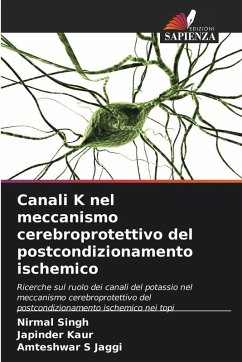 Canali K nel meccanismo cerebroprotettivo del postcondizionamento ischemico - Singh, Nirmal;Kaur, Japinder;Jaggi, Amteshwar S