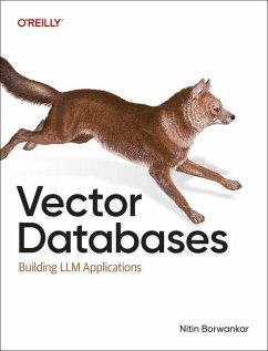 Vector Databases - Borwankar, Nitin