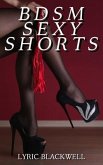 BDSM Sexy Shorts (eBook, ePUB)