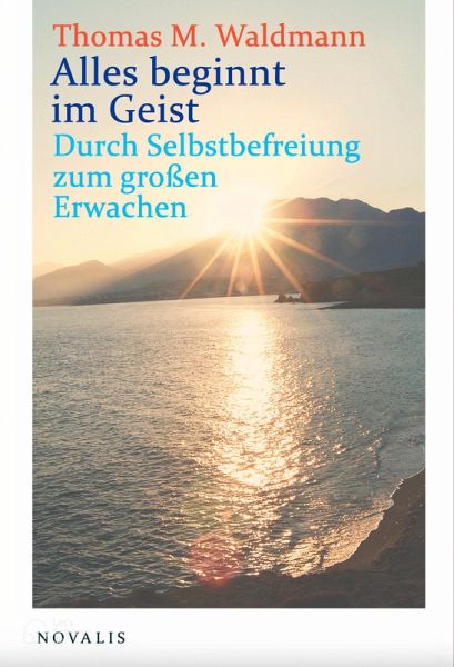 Alles beginnt im Geist (eBook, ePUB)