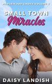 Small Town Miracles (Maplewood Grove, #3) (eBook, ePUB) Small Town Miracles (Maplewood Grove, #3) (eBook, ePUB)