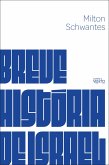 Breve história de Israel (eBook, ePUB)