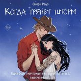 Kogda gryanet shtorm (MP3-Download) Kogda gryanet shtorm (MP3-Download)