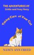 The Adventures of Foxy And Zelda: How... - Bild 1