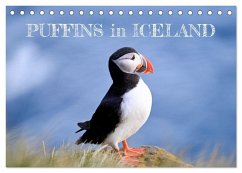Puffins in Iceland (Desk Calendar 2026 DIN A5 landscape), CALVENDO 12 Month DeskCalendar