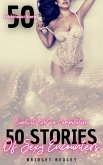 50 Stories of Sexy Encounters (eBook, ePUB) 50 Stories of Sexy Encounters (eBook, ePUB)