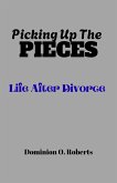 Picking Up The Pieces: Life After Divorce (eBook, ePUB)
