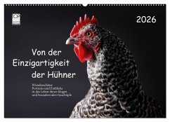 Von der Einzigartigkeit der Hühner 2026 (Wandkalender 2026 DIN A2 quer), CALVENDO Monatskalender