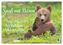 Spaß mit Bären: Edition lustige Tiere (Wandkalender 2026 DIN A2 quer), CALVENDO Monatskalender