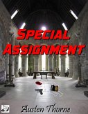 Special Assignment (eBook, ePUB)