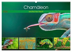 Cover Chamäleon - exotisches Reptil (Wandkalender 2026 DIN A2 quer), CALVENDO Monatskalender