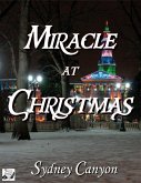 Miracle at Christmas (eBook, ePUB)