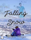 Falling Snow (eBook, ePUB)