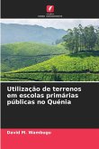 Utilização de terrenos em escolas primárias públicas no Quénia